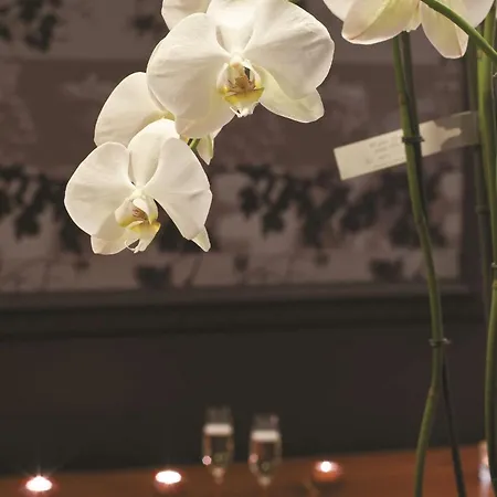 Hotel Radisson Blu Balmoral Spa